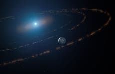 Telescopio James Webb podría encontrar vida extraterrestre en el resplandor de las enanas blancas