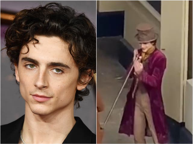 <p>Timothee Chalamet interpretará a una versión más joven del personaje Willy Wonka en la nueva película 'Wonka'</p>