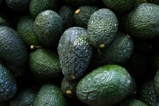 Aguacates mexicanos enfrentan consecuencias de violencia