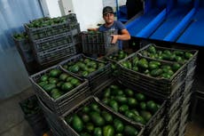 Anuncian aumento de 20% en el salario mínimo en México