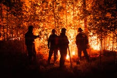 ONU: Los incendios forestales se agravan en todo el mundo