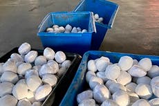 ONU: Se dispara en más de 200 por ciento el uso de metanfetaminas en México