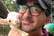 Ucrania: un hombre “preferiría morir” antes que abandonar 400 animales en su refugio de Kiev