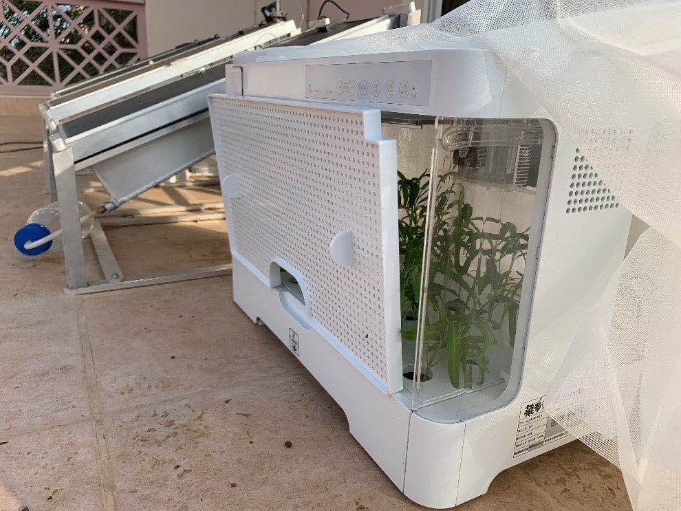 Este dispositivo está conectado a una caja de cultivo de plantas que contiene 60 semillas de espinaca de agua