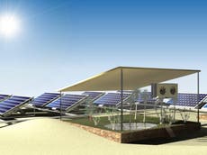 Utilizan paneles solares para “extraer agua del aire” y cultivar en el desierto