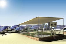 Utilizan paneles solares para “extraer agua del aire” y cultivar en el desierto
