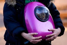 EEUU ofrece ayuda a ucranianos afectados por la guerra