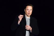 Elon Musk pide la expansión de la energía nuclear y se ofrece a comer comida cultivada cerca de los reactores