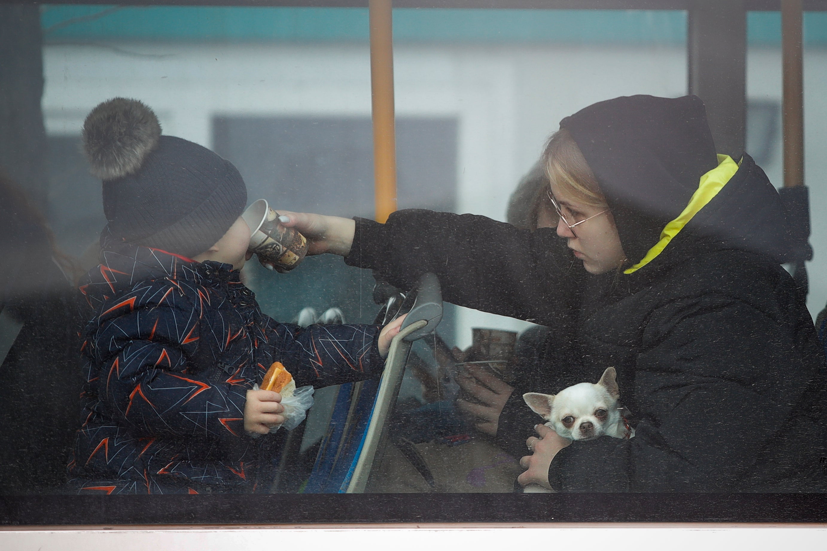 Un refugiado con un perrito en brazos da un sorbo de té a un niño pequeño tras huir de Ucrania