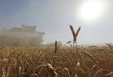 “Suministros agrícolas dependen de la paz”: Bayer se retira de Rusia