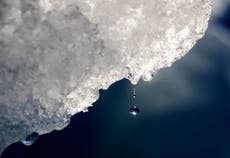 La Antártida registra temperaturas 40 °C más calientes de lo normal