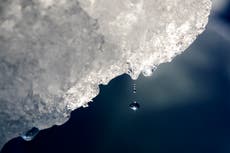 La Antártida registra temperaturas 40 °C más calientes de lo normal