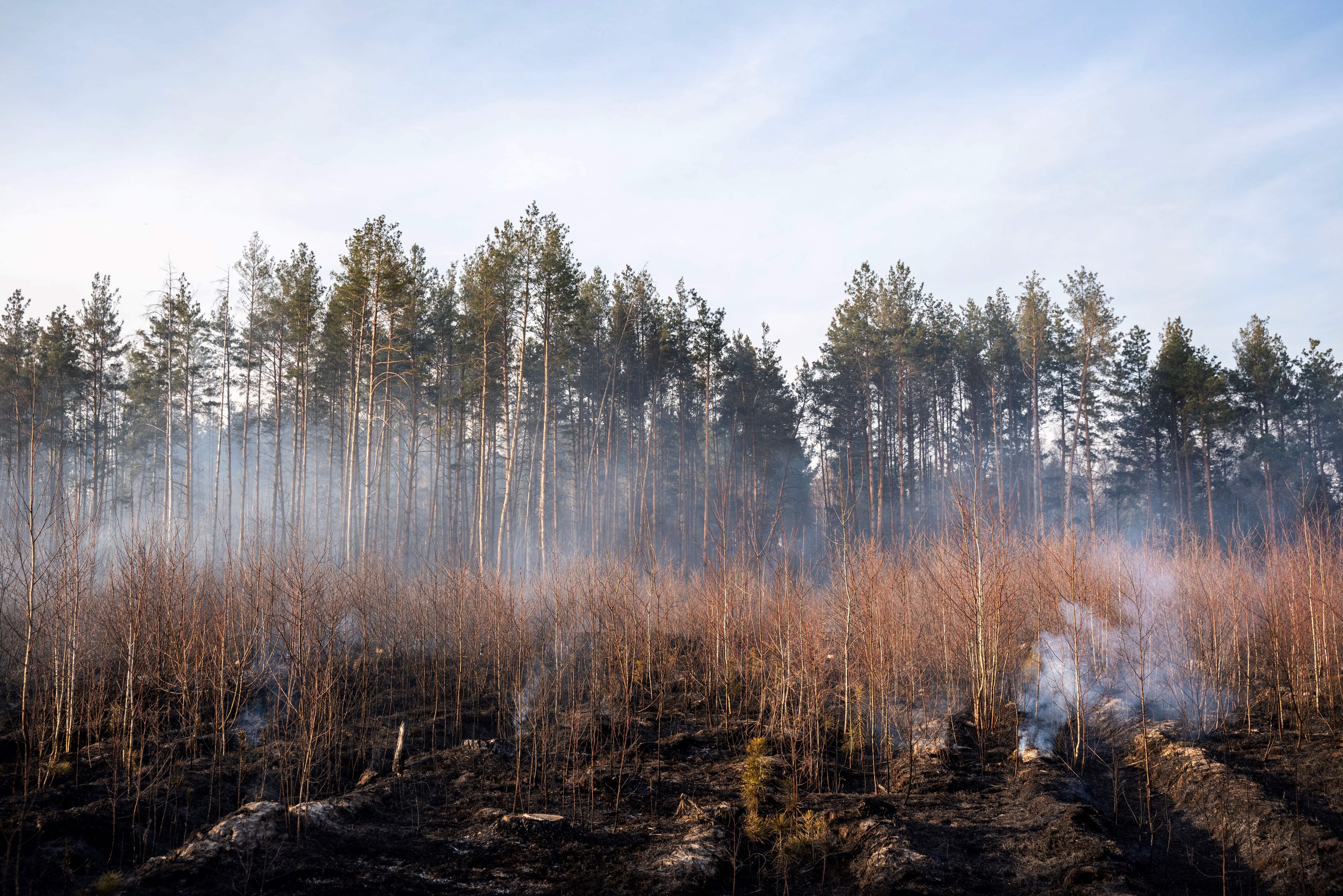 Esta fotografía tomada el 12 de abril de 2020 muestra un bosque en llamas en unas 19 millas (30 kilómetros) en la zona de exclusión de Chernóbil, cerca de la planta nuclear