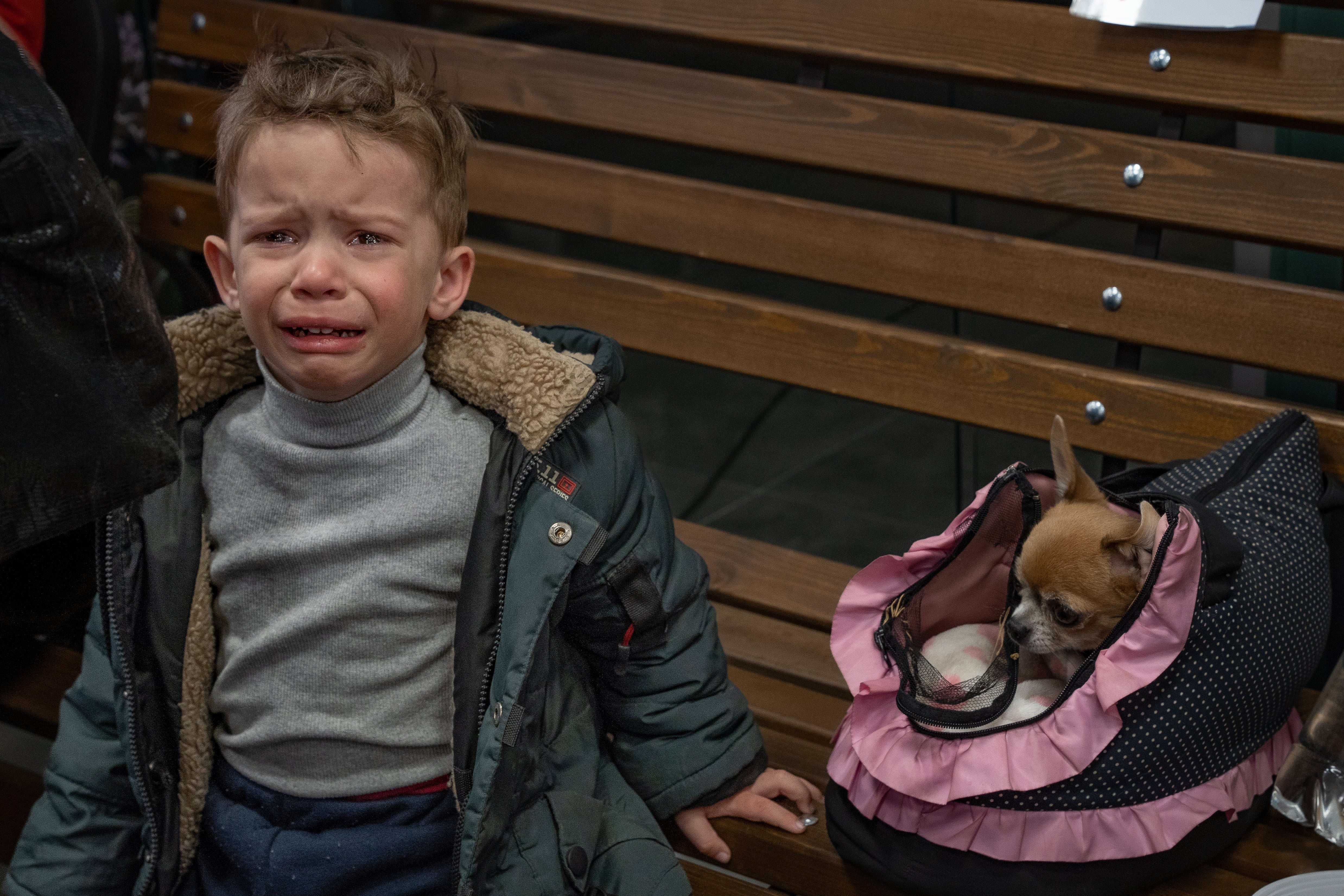 Un niño pequeño llora después de escapar entre bombardeos hacia Zaporizhzhia junto con su perro