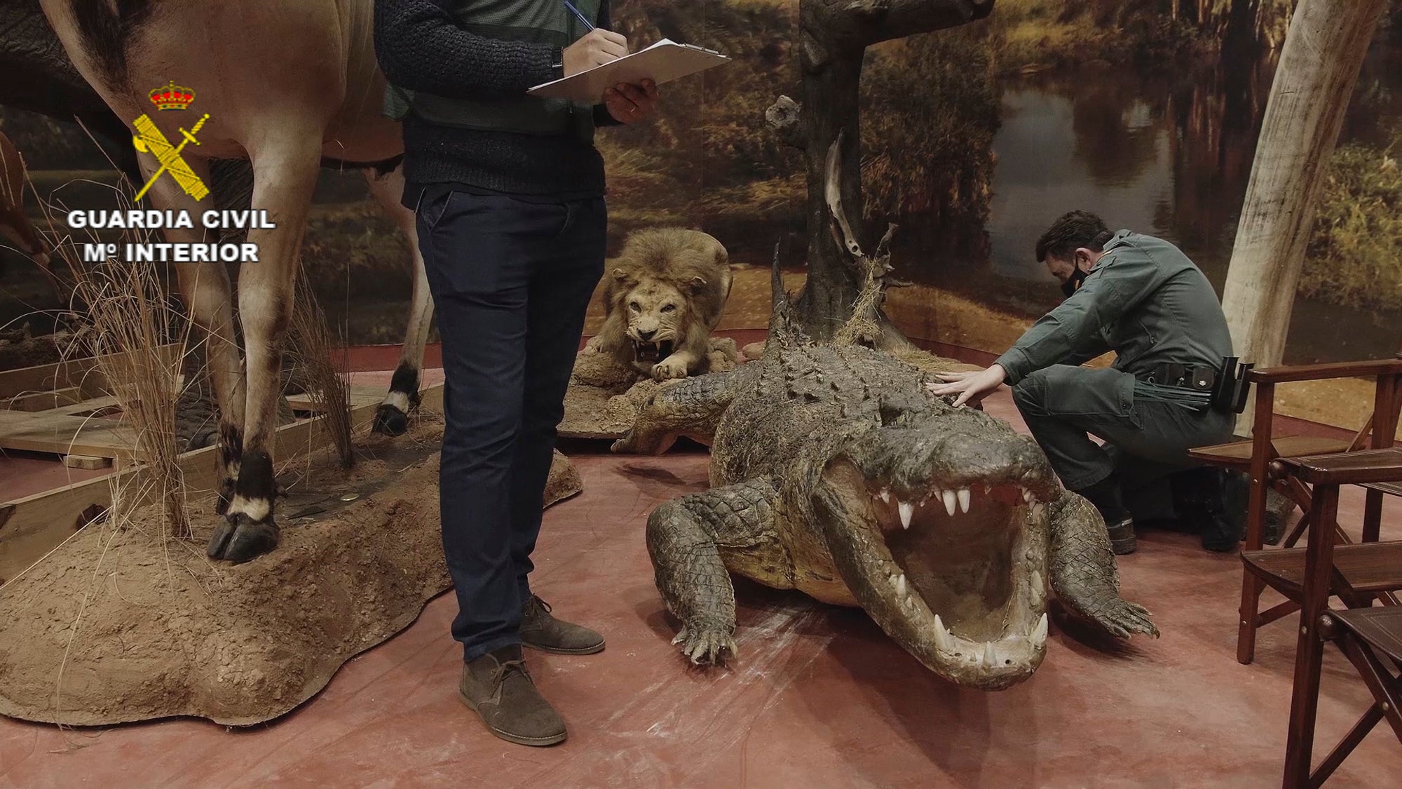 ESPAÑA-ANIMALES DISECADOS