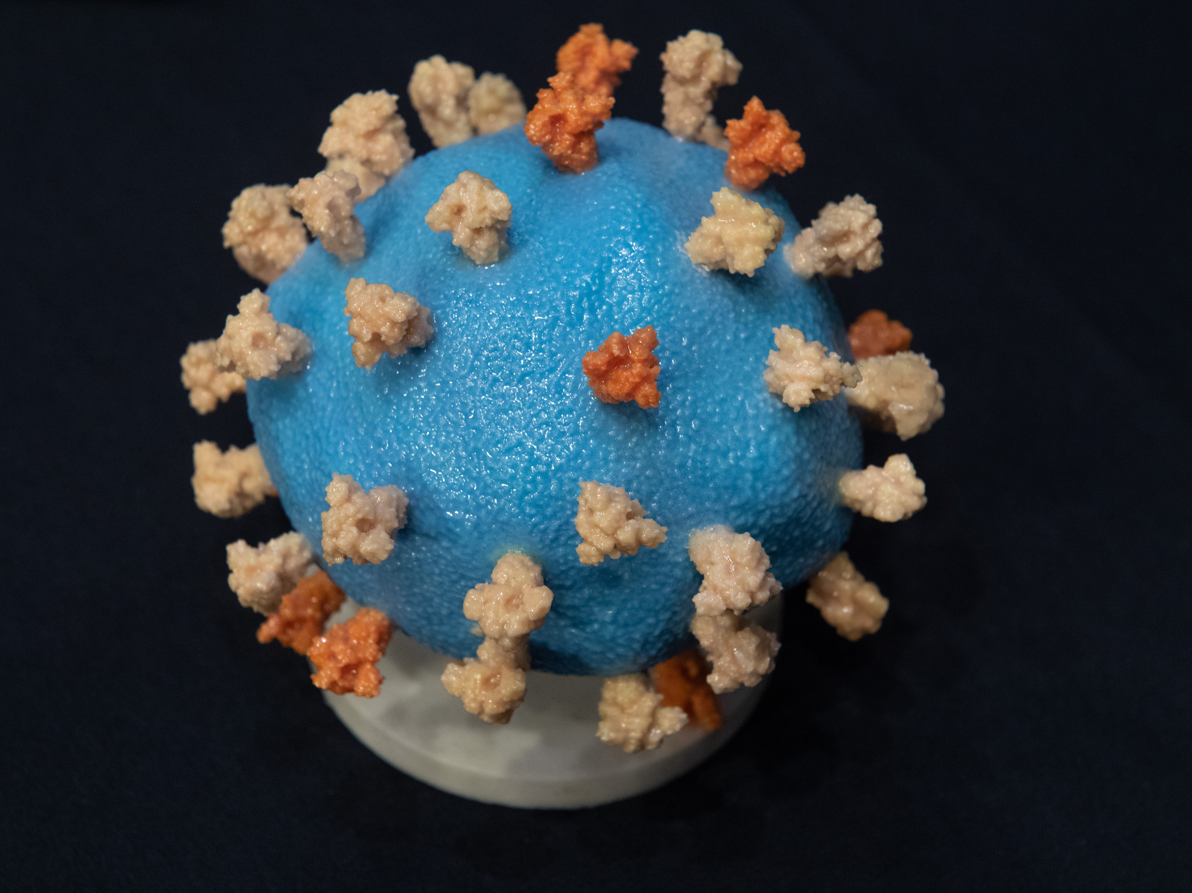 Dos nuevas subvariantes de ómicron bajo investigación, según la OMS