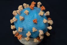 Dos nuevas subvariantes de ómicron bajo investigación, según la OMS