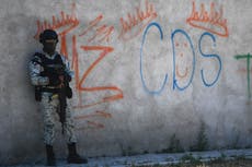 Captan a perro corriendo con cabeza humana en el hocico en Zacatecas