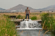 Granjeros en frontera Oregon-California recibirán menos agua