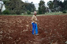 Altos precios y escasez de fertilizantes por la guerra
