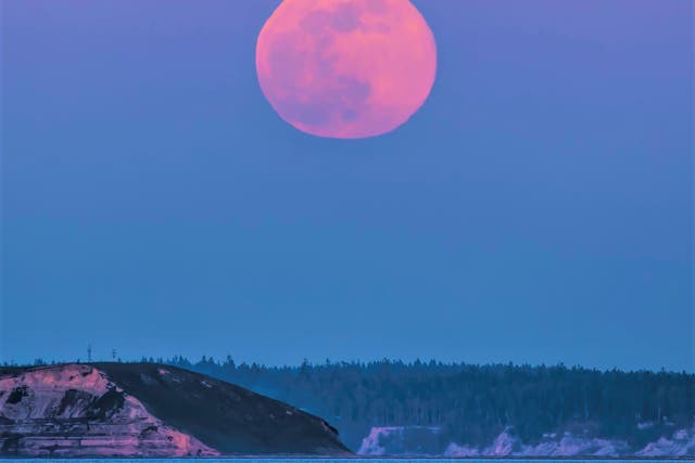 <p>Superluna rosa que se eleva sobre la isla de protección Puget Sound, Strati of Juan de Fuca. La luna llena de este mes cae el 16 de abril de 2022</p>
