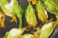 Receta: Flores de calabaza rellenas de queso a las hierbas