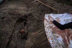 Más de 900 civiles muertos en los alrededores de Kyiv; Rusia promete nuevos ataques