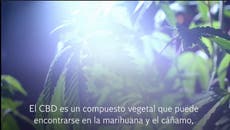 ¿En qué se diferencia el CBD de la marihuana?