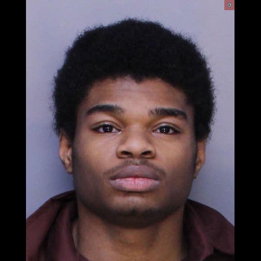 Detienen en Nueva York a sospechoso de violar a gemelas en Pensilvania