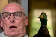 Escena de sexo con un pato traumatiza a las estrellas de ‘Gogglebox’