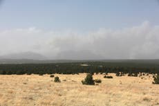 Nuevo México declara emergencia por incendios forestales