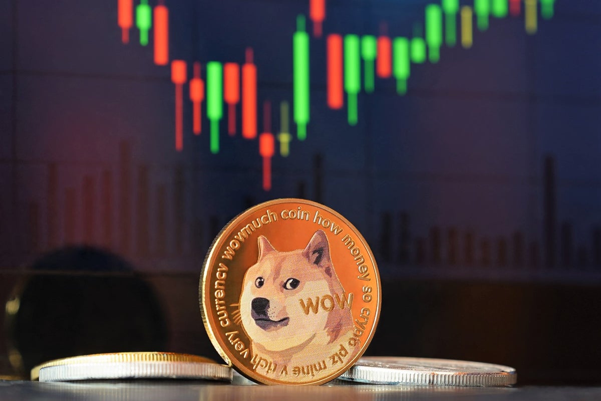 ¿Qué pasó el fin de semana con las criptos Dogecoin y Shiba Inu? |  Independent Español