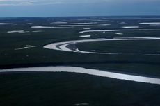 Biden revierte disposición de Trump y bloquea la mitad de reserva de petróleo de Alaska a nuevas perforaciones