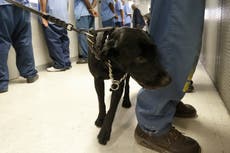 Disminuyen muertes por sobredosis en prisiones en California