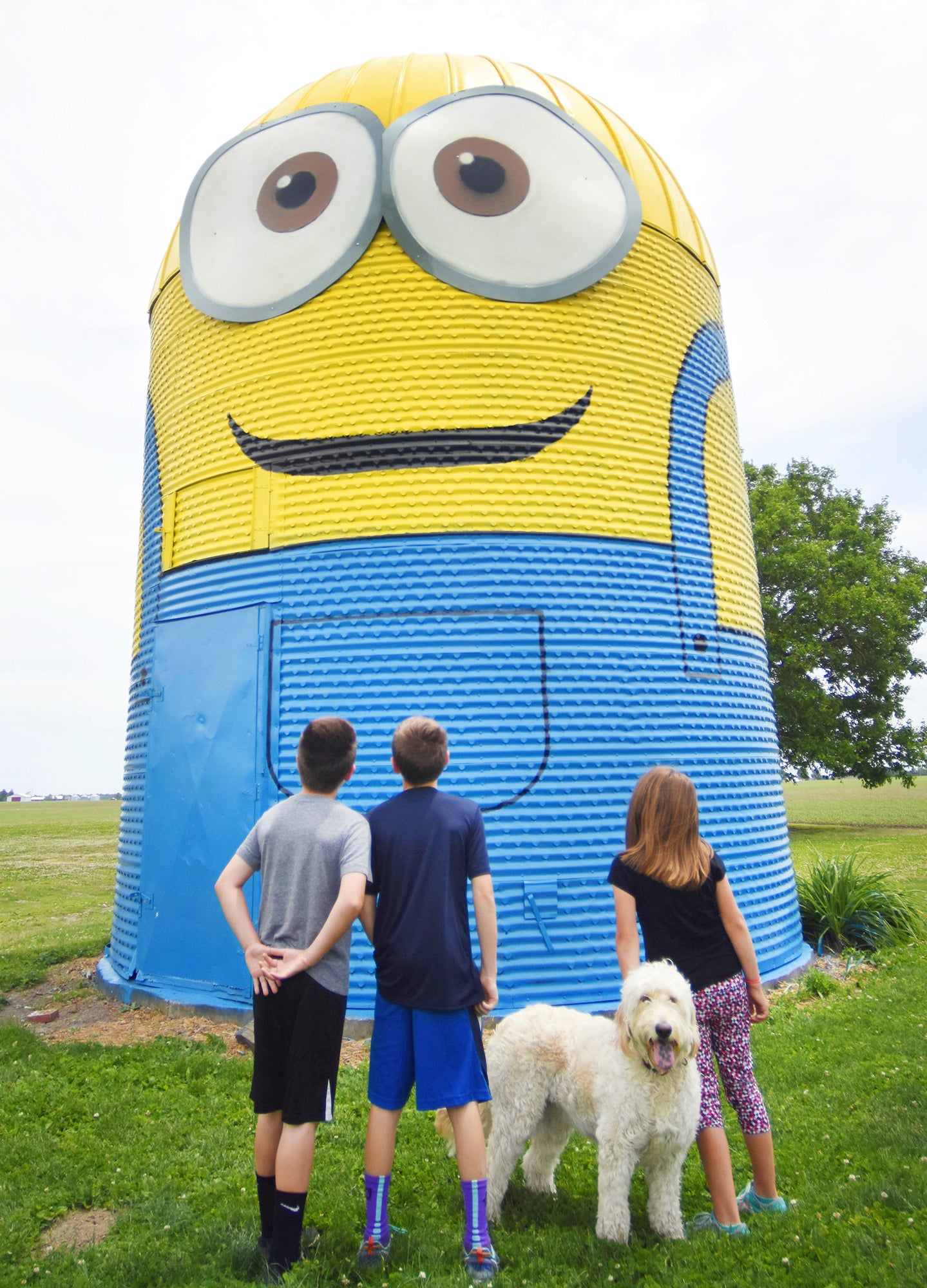 DOMINIO DE LOS MINIONS