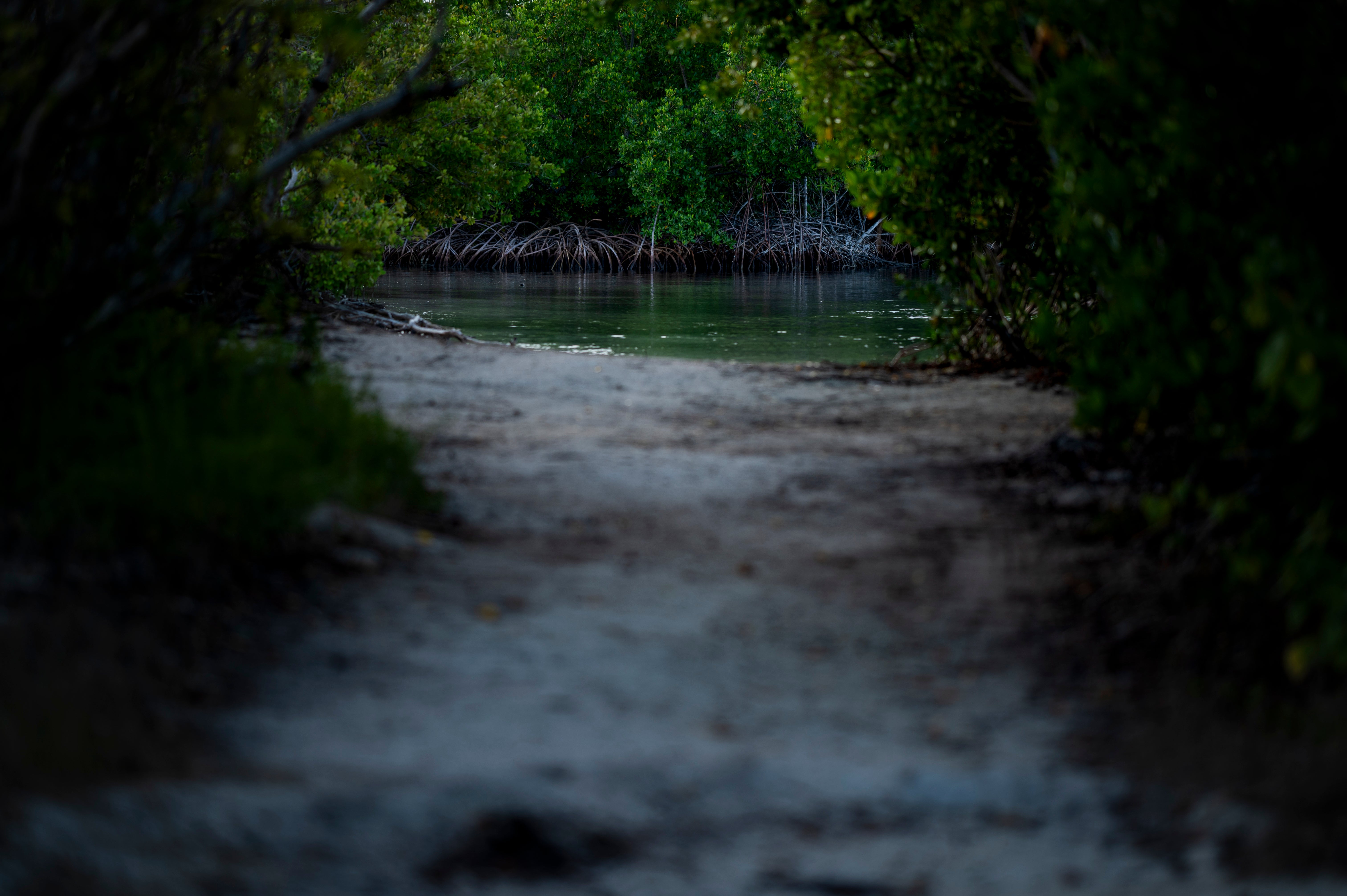 PUERTO RICO VIVIENDAS ILEGALES