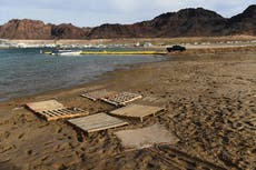 EE.UU.: encontraron más restos humanos en el lago Mead afectado por la sequía