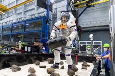 NASA: los astronautas de la misión Crew-3 continúan su trabajo científico tras regreso a la Tierra