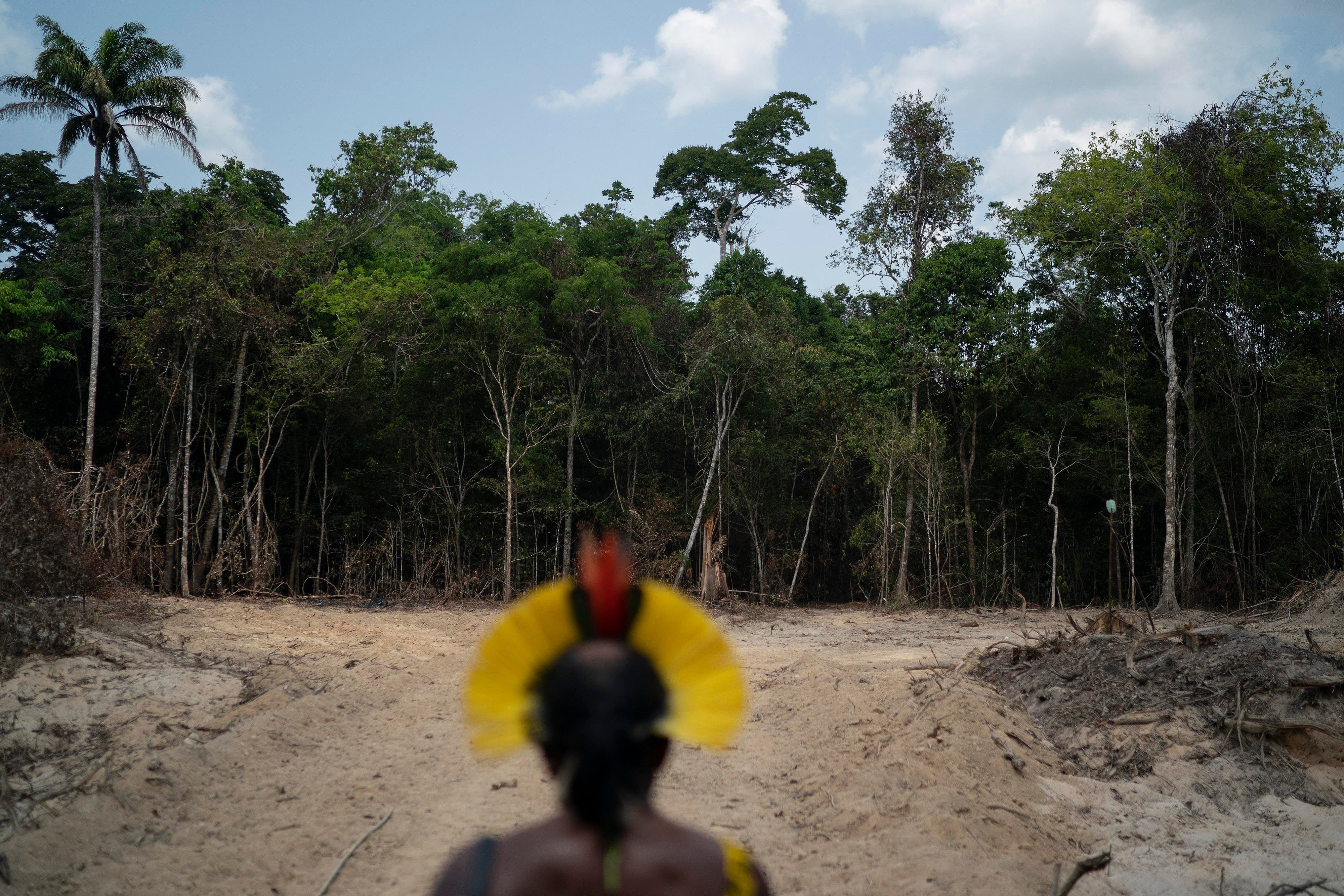 Deforestación En Amazonia Brasileña Rompe Récords Para Abril Independent Español 