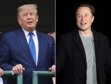 Murió el amor entre Donald Trump y Elon Musk, y sé por qué