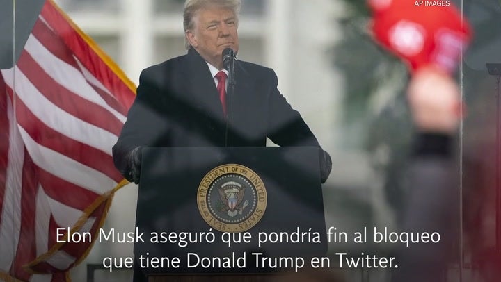 Elon Musk planea levantar el bloqueo de Twitter a Donald Trump