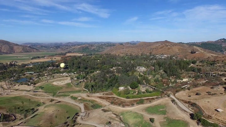 El San Diego Zoo Safari Park celebra 50 años y sorprende a un visitante con un regalo para toda la vida