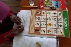 Google incluye quechua, guaraní y aimara en su traductor