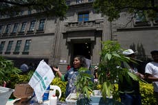 México: Corte Suprema vuelve a pronunciarse sobre cannabis