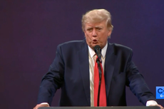 Trump anuncia que está escribiendo un libro sobre las elecciones que le robaron