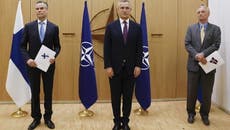 Finlandia y Suecia presentan solicitud histórica para ingresar a la OTAN