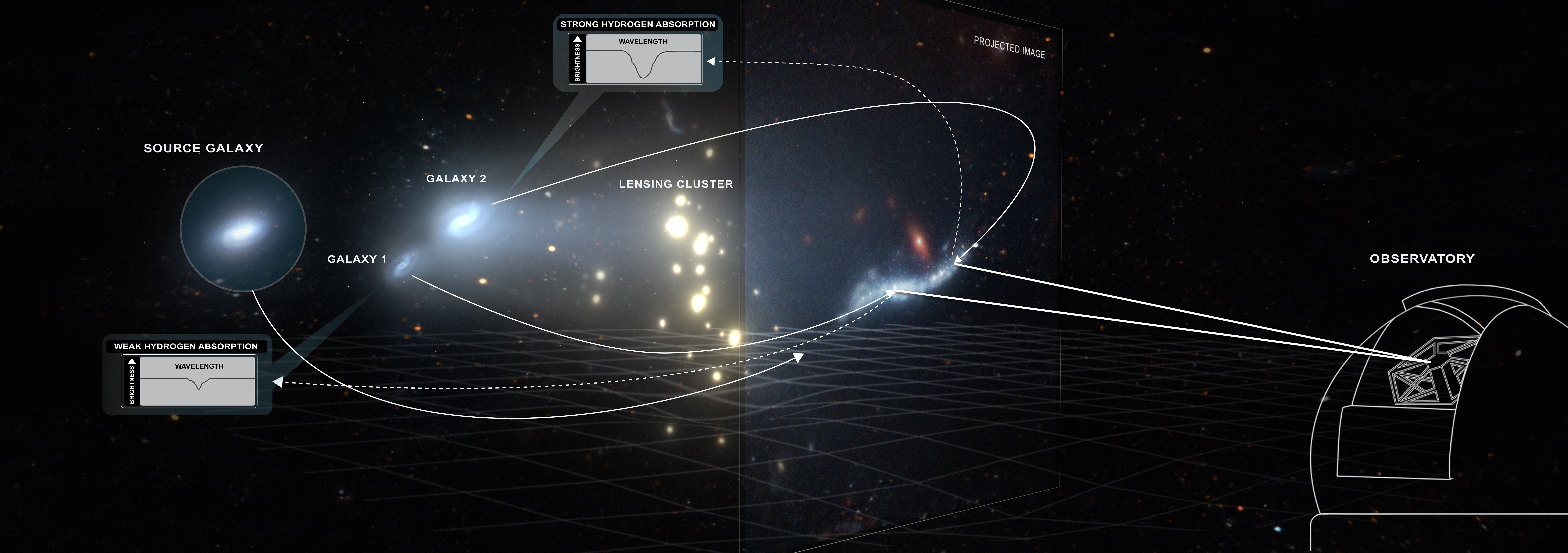 Un modelo de un artista de cómo un cúmulo de galaxias actúan como lentes gravitacionales que magnifican y extienden la luz detrás de ellas