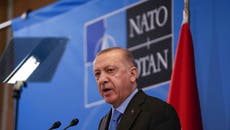 EE.UU. busca que Turquía levante el veto a Suecia y Finlandia para unirse a la OTAN