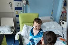 Niño de cinco años es atacado por pitbulls mientras jugaba