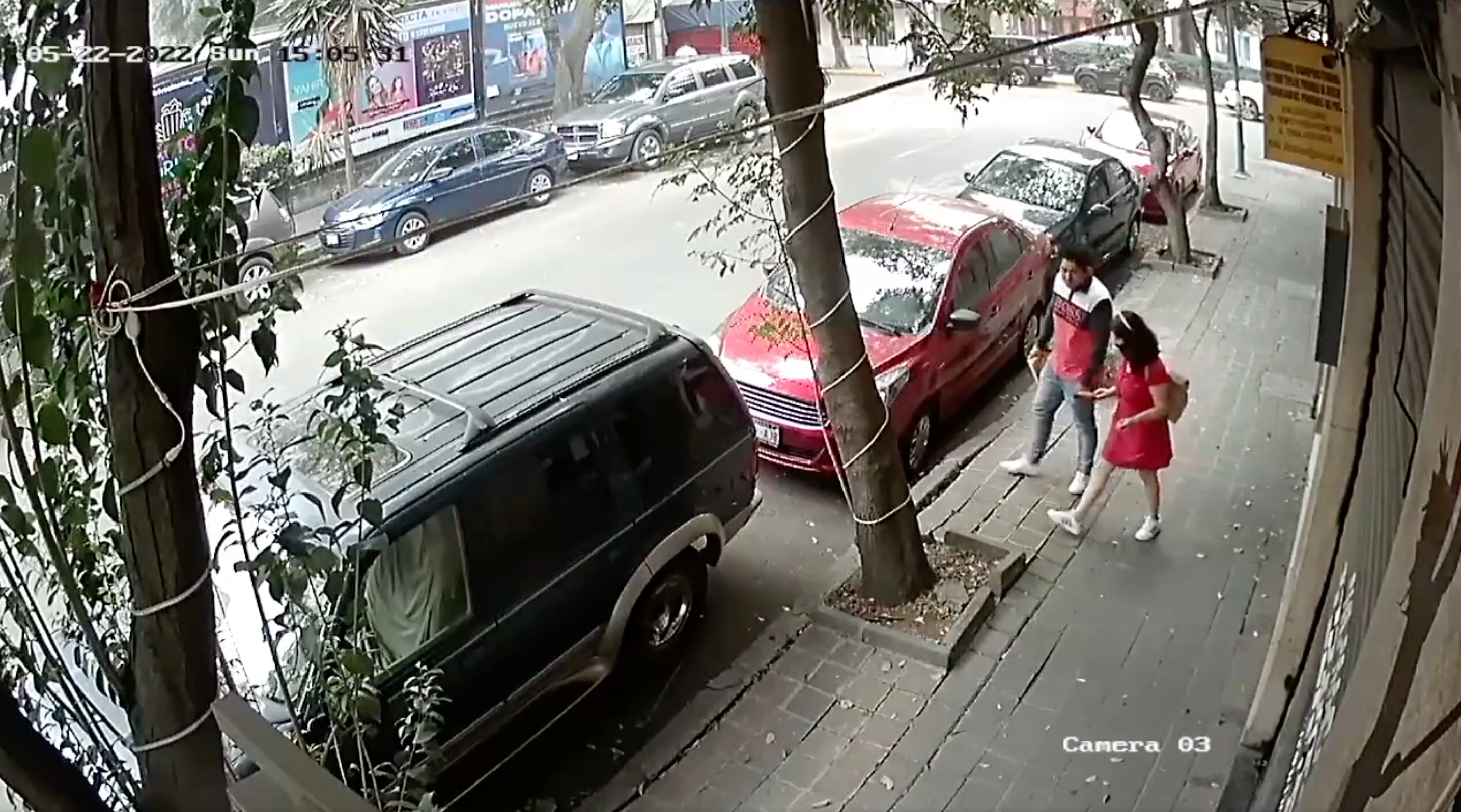 Pareja en México se salva de ser aplastada por un árbol y el momento queda captado en vídeo